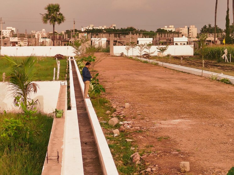 Exterior View, tadigadapa  100 Sq.Yd. Plot In Tadigadapa Vijayawada 7997679