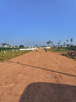 100 Sq.Yd. Plot in Tadigadapa