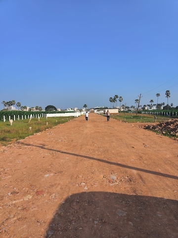 Plot For Resale in Tadigadapa Vijayawada  7997679