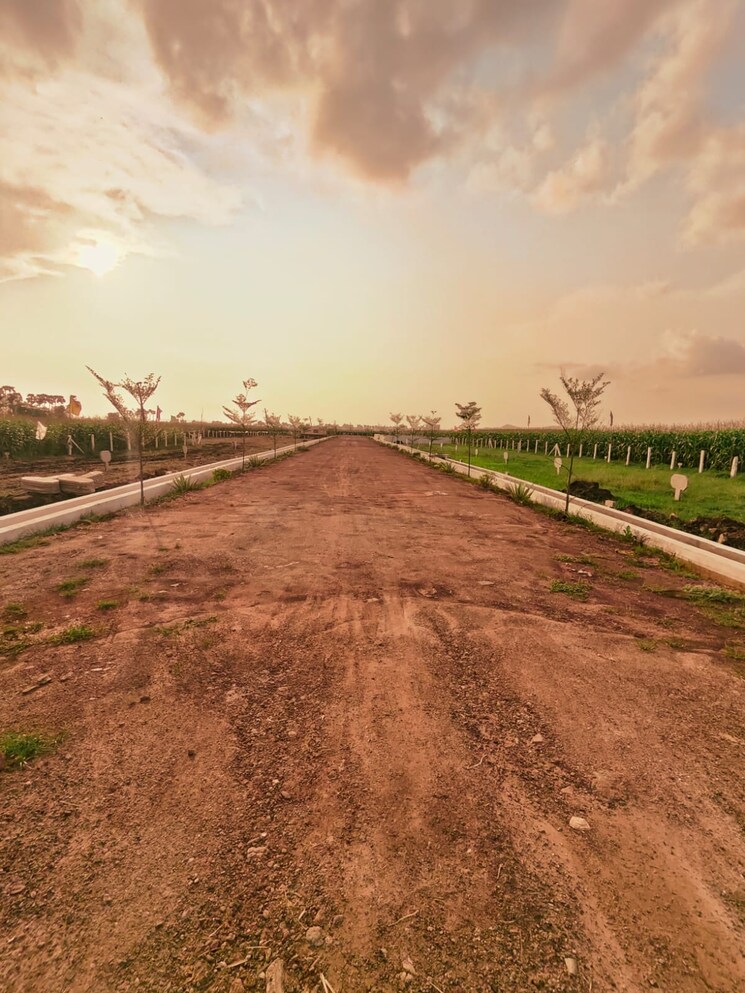 undefined, tadigadapa  100 Sq.Yd. Plot In Tadigadapa Vijayawada 7997679