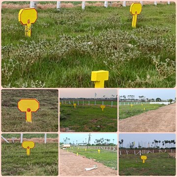 Plot – Garden View at Tadigadapa - for Sale