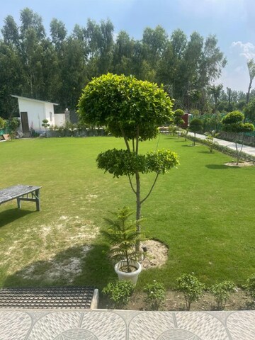 4 BHK Independent House – Garden View at Sector 135 - for Sale