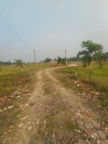 Plot For Resale in Joka Kolkata  7997862