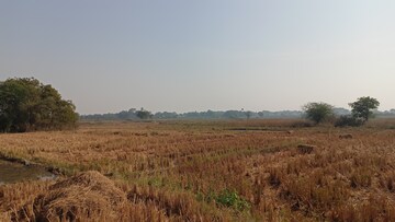 Plot Area in  Plot at Hayathnagar – for Sale
