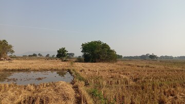 Plot Area in  Plot at Hayathnagar – for Sale