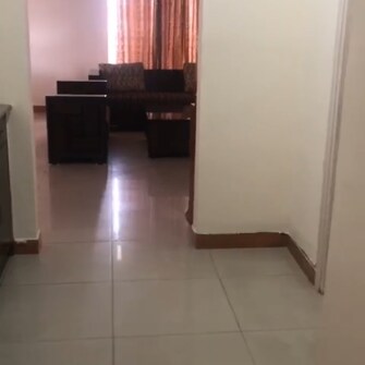 3 BHK Apartment For Rent in Central Park II-The Room Tikri Gurgaon  7998174