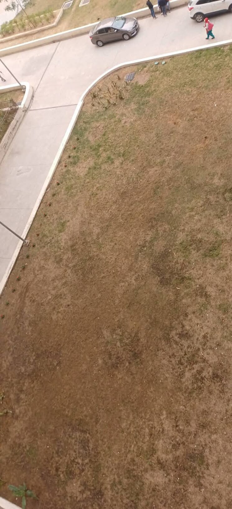 Master Bedroom, amrapali-golf-homes 2 Bedroom 1100 Sq.Ft. Apartment In Sector 4, Greater Noida Greater Noida 7998168