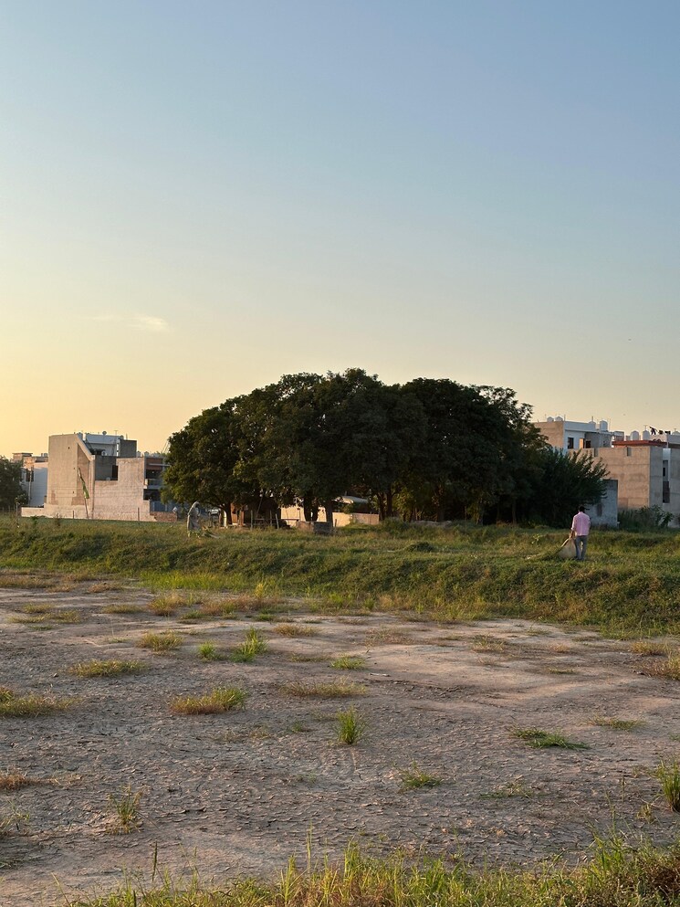 undefined, kharar mohali road  123 Sq.Yd. Plot In Kharar Mohali Road Kharar 7998448