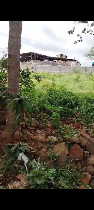  Plot – Garden View at Katedhan - for Sale