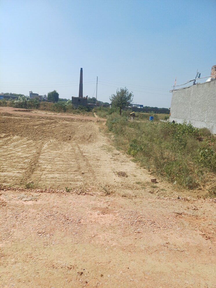 Garden, bhopani  55 Sq.Yd. Plot In Bhopani Faridabad 7998486