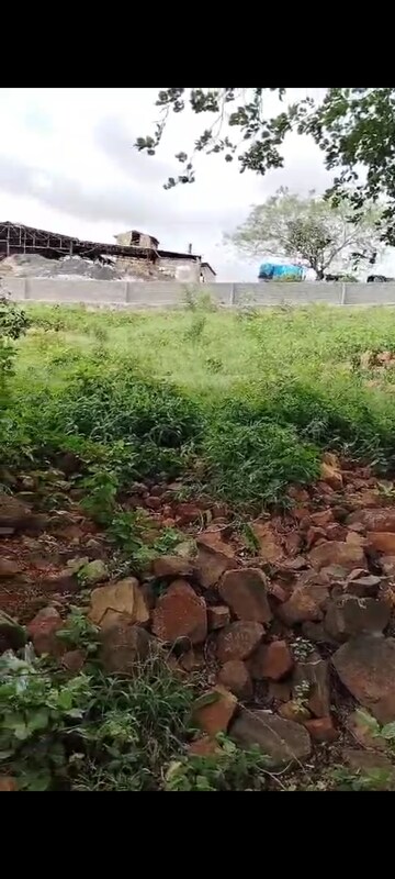 Plot Area in  Plot at Katedhan – for Sale