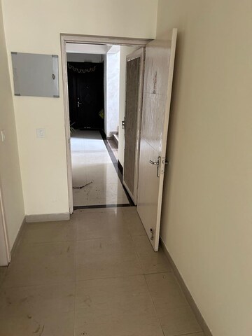 4 BHK Apartment For Rent in Tulip Purple, Sector 69