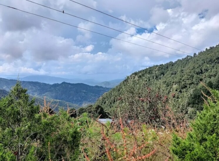 undefined, mukteshwar  350 Sq.Yd. Plot In Mukteshwar Nainital 7998784