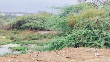 Commercial Land 6 Acre For Resale in Veltur Sadashivpet  7998848