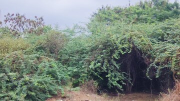 Plot Area in  Land at Veltur – for Sale