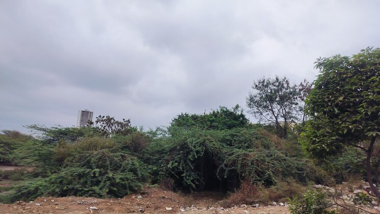 undefined, veltur Commercial Land 6 Acre In Veltur Sadashivpet 7998848