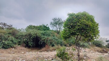 Plot Area in  Land at Veltur – for Sale