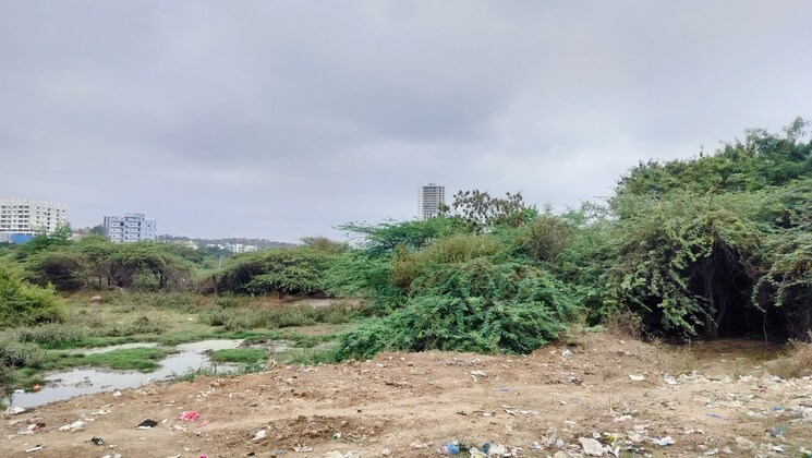 undefined, veltur Commercial Land 6 Acre In Veltur Sadashivpet 7998848