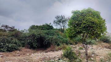 Plot Area in  Land at Veltur – for Sale