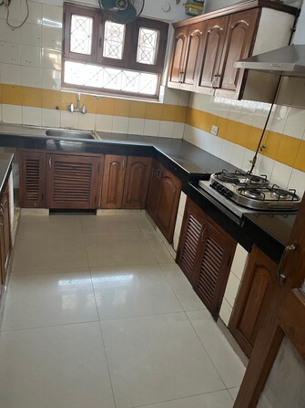 3 BHK Builder Floor For Rent in Green Park Delhi  7998969