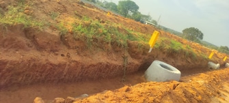 Plot For Resale in SRR Shadnagar Paradise County Shadnagar Hyderabad  7998987