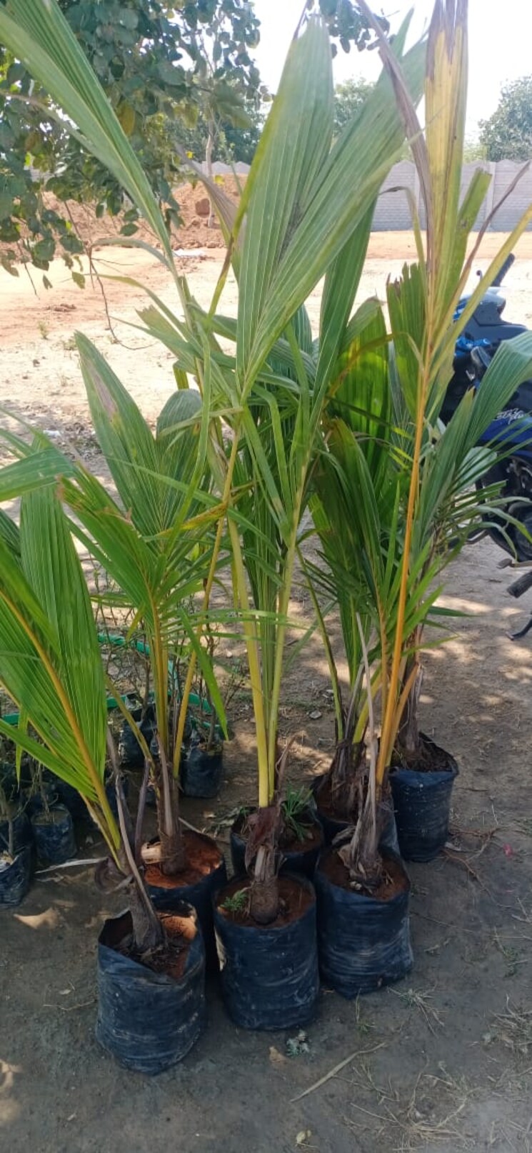 Exterior View, srr-shadnagar-paradise-county  150 Sq.Yd. Plot In Shadnagar Hyderabad 7998987