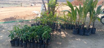  Plot – Exterior View View at SRR Shadnagar Paradise County, Shadnagar - for Sale