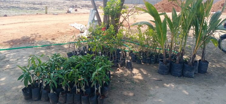 Exterior View, srr-shadnagar-paradise-county  150 Sq.Yd. Plot In Shadnagar Hyderabad 7998987