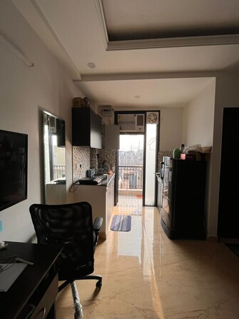 1 RK Apartment For Rent in DLF Cyber Terraces Dlf Cyber City Gurgaon  7999084