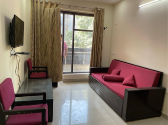 1 BHK Apartment For Rent in Akash Apartments Gurgaon Nathupur Gurgaon  7999116