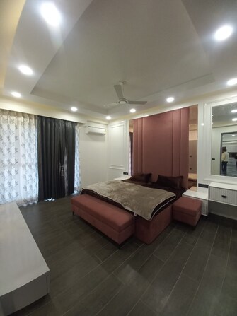 4 BHK Builder Floor For Rent in Kibithu Homes Sector 47 Gurgaon  7999274