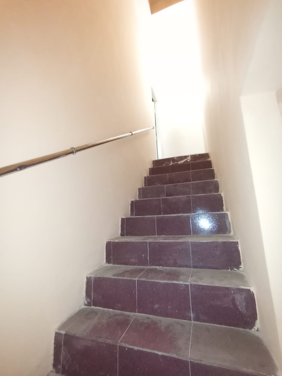 3 BHK + Servant Room Independent House For Sale in Blue Sky