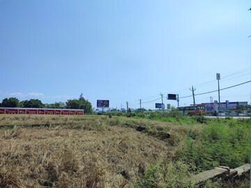 Plot Area in  Plot at Badheri Rajputan – for Sale
