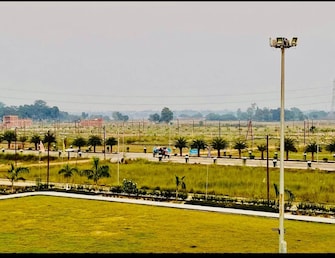 Plot For Resale in Wing Lucknow Greens Plots Sultanpur Road Lucknow  7999532