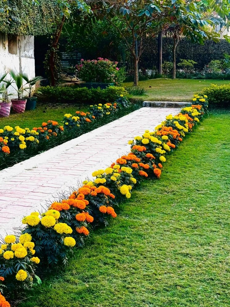 Garden, wing-lucknow-greens-plots  1800 Sq.Ft. Plot In Sultanpur Road Lucknow 7999532