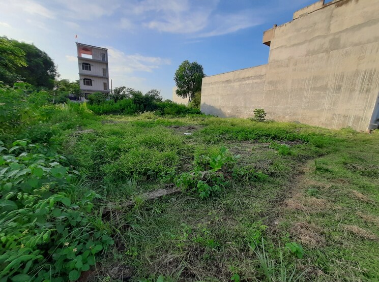 undefined, mubarakpur  1001 Sq.Ft. Plot In Mubarakpur Lucknow 7999582