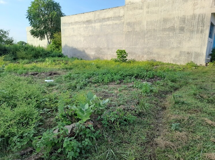 undefined, mubarakpur  1001 Sq.Ft. Plot In Mubarakpur Lucknow 7999582