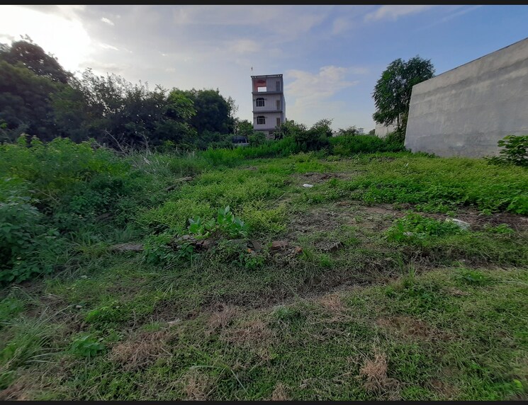 Garden, mubarakpur  1001 Sq.Ft. Plot In Mubarakpur Lucknow 7999582