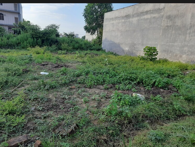 undefined, mubarakpur  1001 Sq.Ft. Plot In Mubarakpur Lucknow 7999582