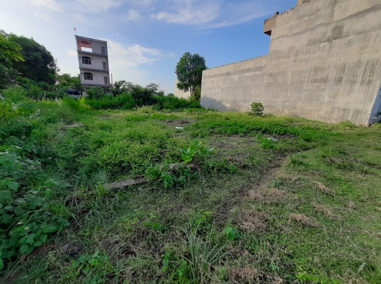 undefined, mubarakpur  1001 Sq.Ft. Plot In Mubarakpur Lucknow 7999582