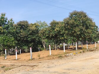 Commercial Land 1129 Sq.Yd. For Resale in Ramoji Film City Hyderabad  7999606