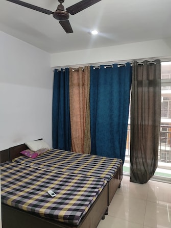 1 BHK Apartment For Rent in AVL 36 Gurgaon Sector 36 Gurgaon  7999677