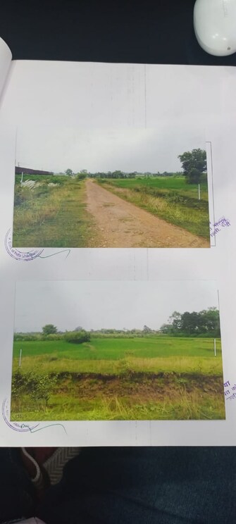 Plot For Resale in Tappal Aligarh  7999854