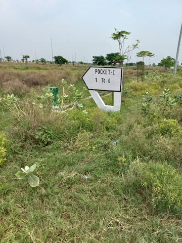 Plot Area in  Plot at Tappal – for Sale