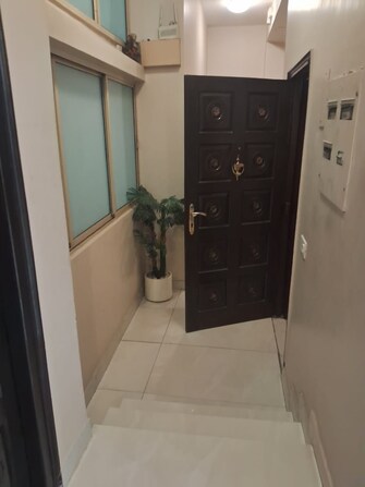 3 BHK Builder Floor For Rent in Panchsheel Park Delhi  8000089