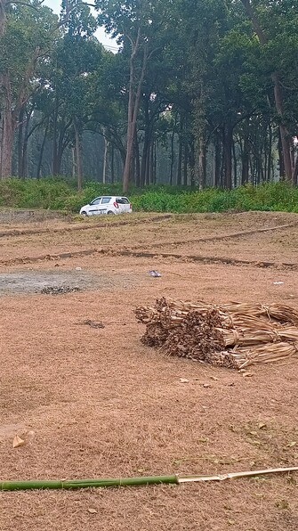 Plot For Resale in Garhi Cantt Dehradun  8000123