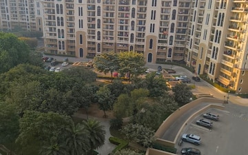 3 BHK Apartment For Rent in DLF New Town Heights III, Sector 91