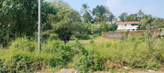 Plot For Resale in Kuttanellur Thrissur  7983429