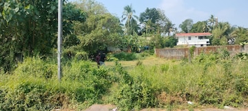 Plot For Resale in Kuttanellur Thrissur  7983429