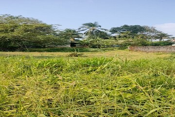 Plot Area in  Plot at Kuttanellur – for Sale